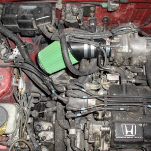 Green P305