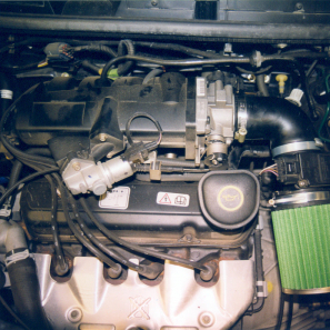 Green P308